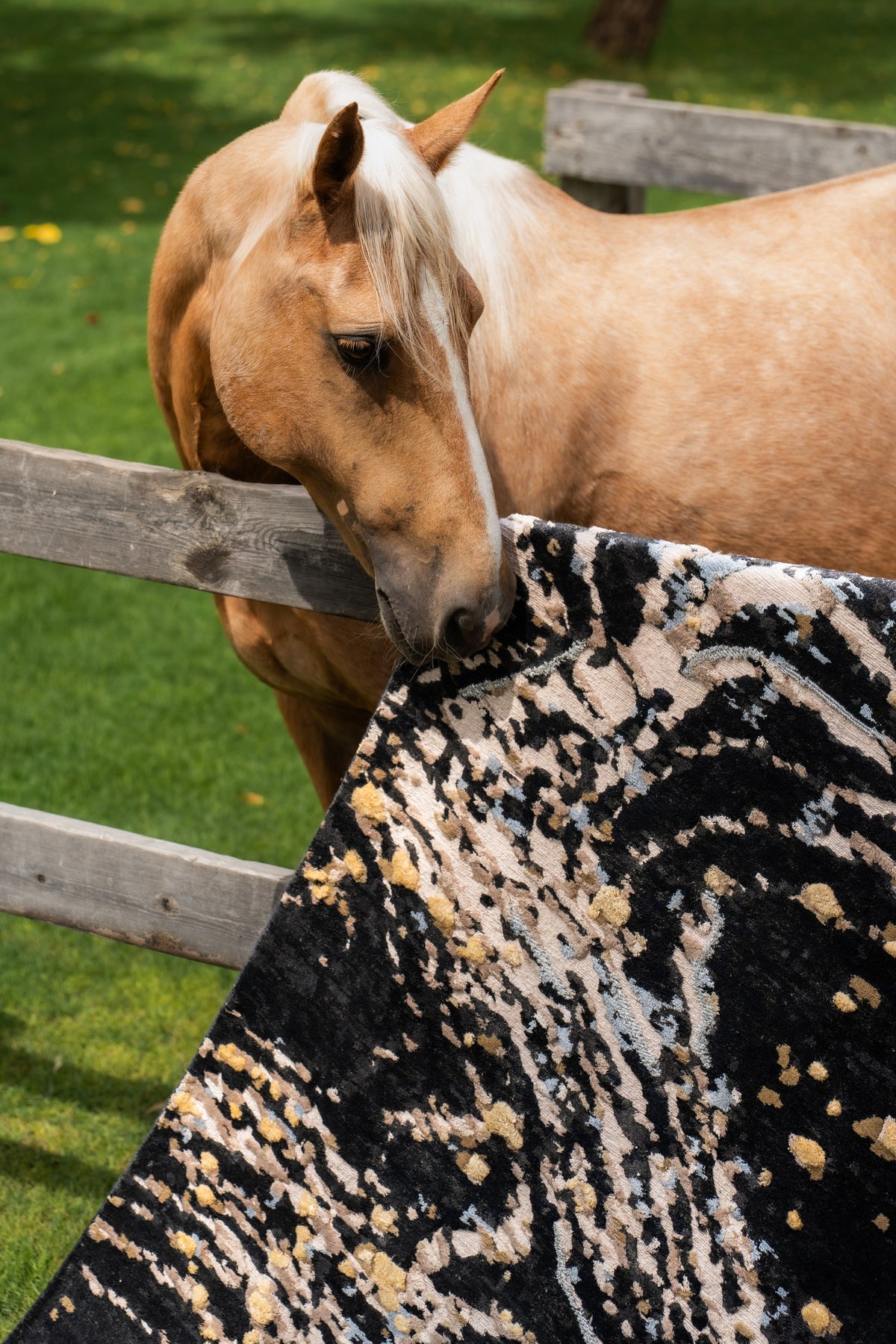 The Milky Way rug in Comet Black with horse